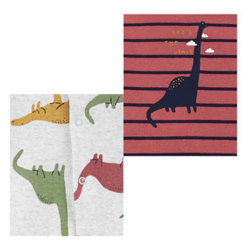 Conjunto longo bebê 3 peças dinossauro multicor Carter's